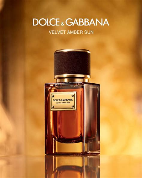 dolce and gabbana amber notes